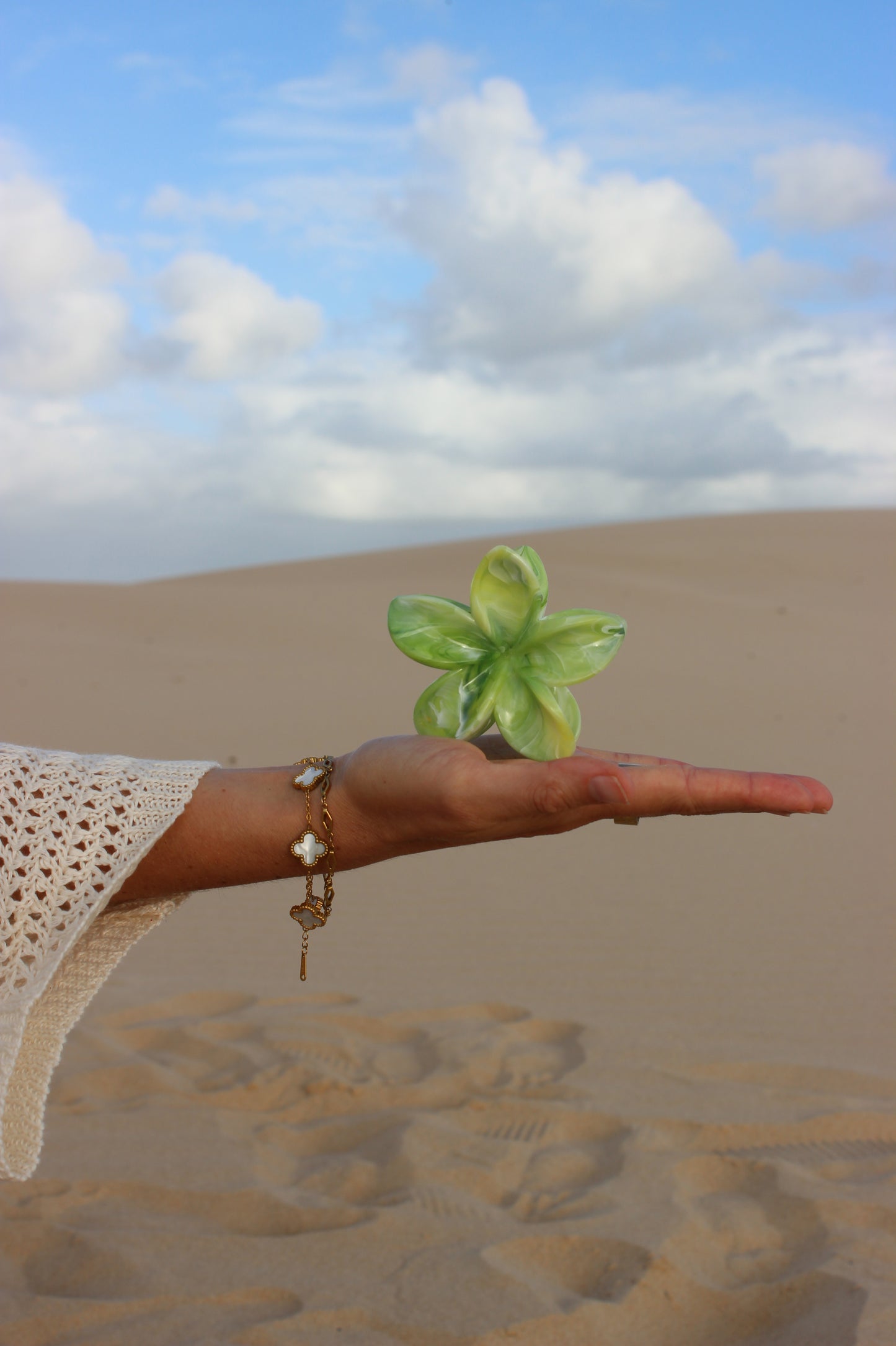 ISLAND PETAL CLAW CLIP
